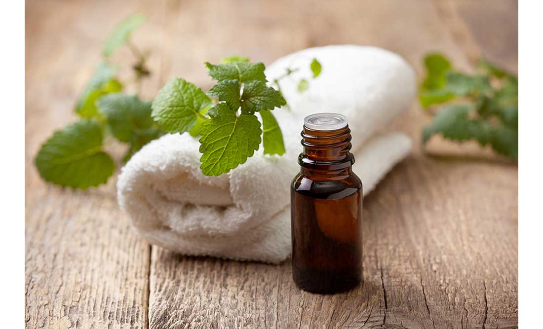 Candida: tea tree oil e i probiotici, i rimedi più efficaci