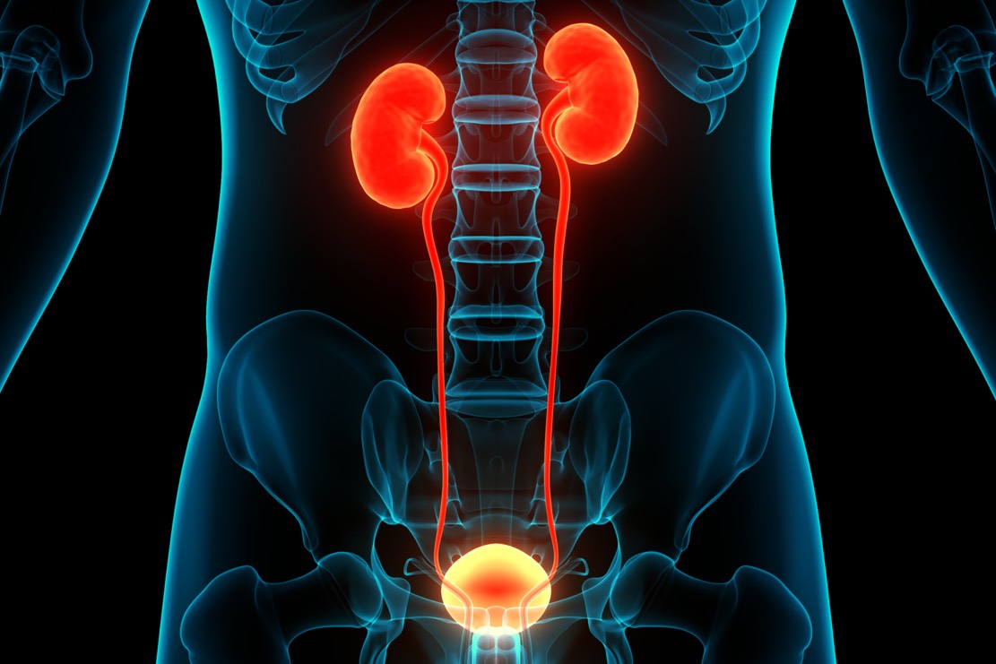 Infiammazione delle vie urinarie e prostatite